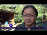 Petugas Lepasliarkan Sepasang Lutung Jawa di Batu Jatim - NET16