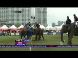 Uniknya Kejuaraan Polo di Thailand ini Gunakan Gajah sebagai Pemain - NET24