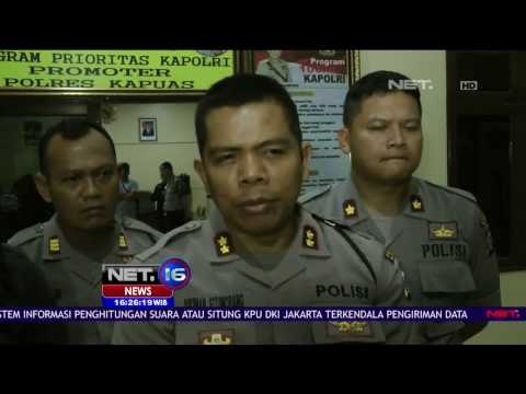 Pembantaian Orang Utan di Kalimantan Tengah - NET16