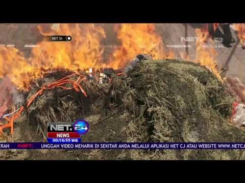 Petugas Musnahkan Barang Bukti Narkoba di Aceh dan Medan - NET24