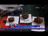 Jamur Truffe, Si Black Diamond yang Berharga 14 Juta Rupiah Perkilogram - NET5