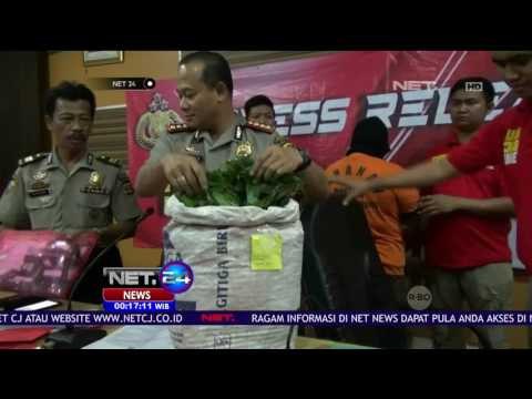 Ustad Palsu Pengganda Uang Dibekuk Petugas - NET24