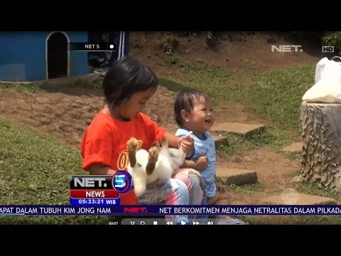 Keseruan Berlibur di Taman Kelinci Malang - NET5