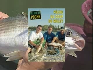 Pêche au coup du mulet