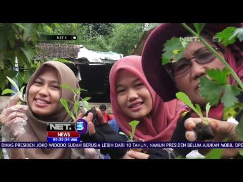 Warga Sekitar Sungai Cikapundung Tebar Bibit Ikan dan Tanam Pohon Guna Berdayakan Lingkungan - NET5