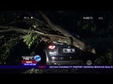 Diterjang Angin Puting Beliung, Belasan Mobil Tertimpa Pohon Tumbang - NET24