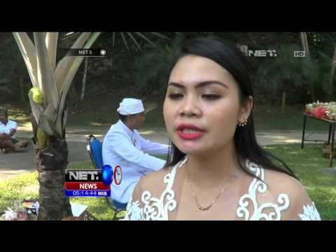 Kebun Binatang Bali Gelar Ritual Tumpek Kandang - NET5