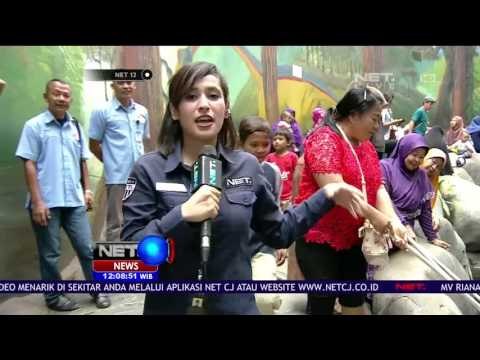 Live Report Keseruan dan Keramaian di Akuarium Air Tawar TMII - NET12