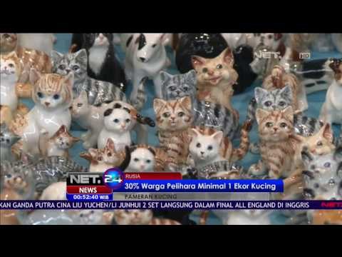 Pameran Kucing Internasional di Rusia Manjakan Para Pecinta Kucing - NET24