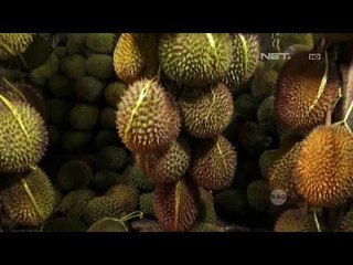 Kenikmatan Durian Lokal - NET5