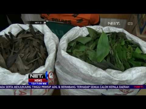 Penipuan Berkedok Penggandaan Uang oleh Ustadz Menyeruak di Tangerang - NET12