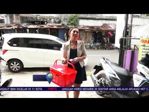 Penitipan Hewan Peliharaan Saat Mudik - NET5