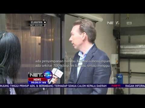 16 Tahun Menunggu, Akhirnya Sepasang Panda Cina Dipinjamkan ke Belanda -NET24