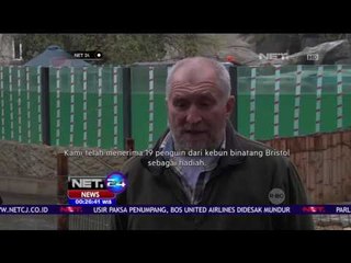 Pasca Banjir yang Menerjang, 19 Penguin Disumbangkan ke Tbilisi Zoo - NET24