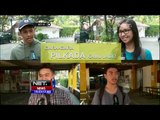 Curahan Hati Para Muda mudi Soal Pilkada - NET 10