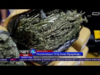 Penyelundupan 10 Kg Ganja Digagalkan - NET24