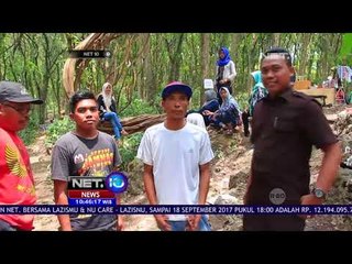 Pohon Raksasa Jadi Obyek Foto - NET 10