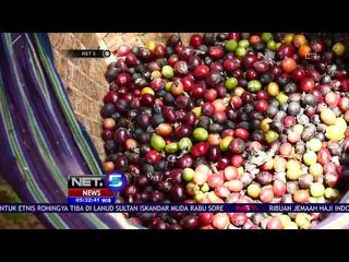 Bangkitnya Kelompok Petani Kopi Gunung Kelir