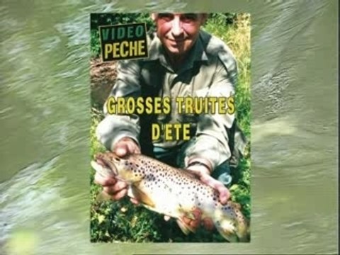 Grosses truites d'été