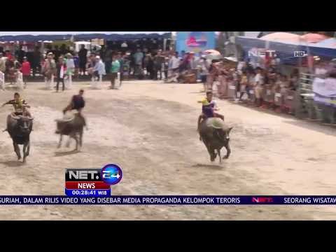 Balap Kerbau Ala Thailand Ini Memikat Wisatawan - NET24