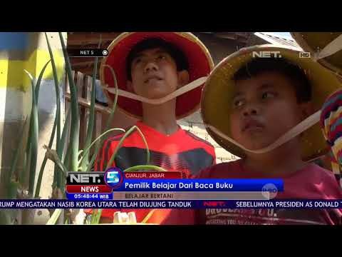 Anak Belajar Bertani di Firdaus Farm NET5