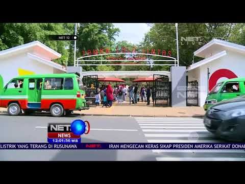 Live Report Taman Lalu Lintas Bandung - NET12