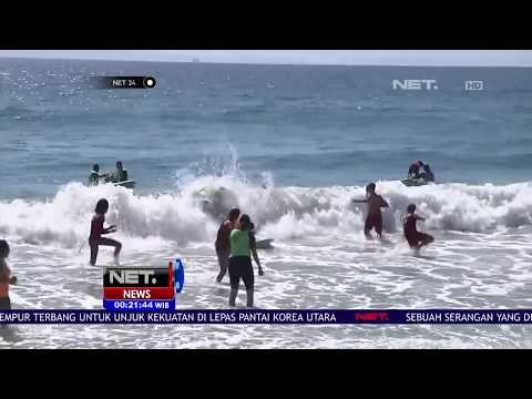 Puluhan Anjing Unjuk Kebolehan di Kompetisi Surfing - NET24