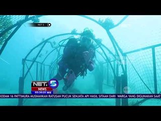 Inilah Taman Lalu Lintas Bawah Laut