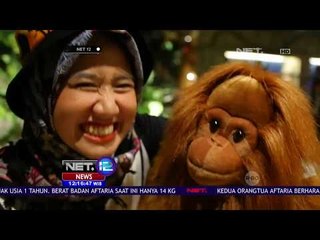 Yang Baru! Kafe Unik Ala Film Madagaskar - NET12