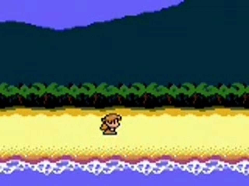 Zelda DX