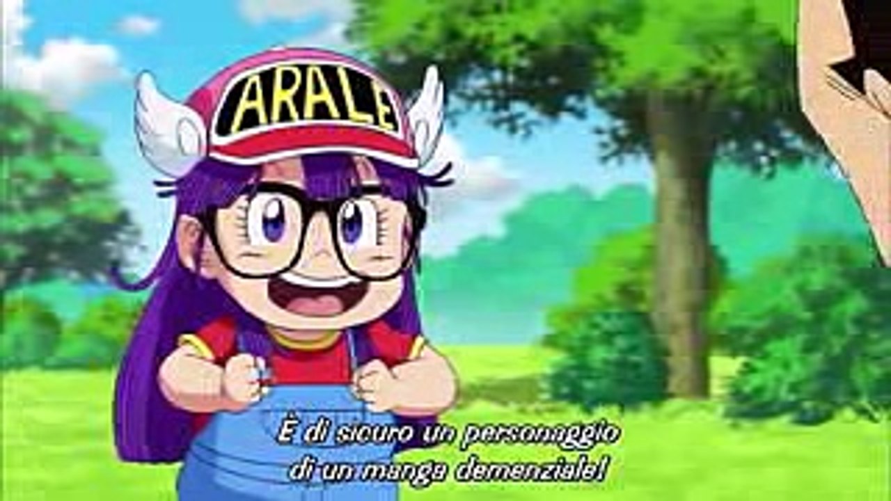 GOKU INCONTRA ARALE PER LA SECONDA VOLTA [SUB ITA]
