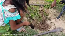 Terrifying!! Younger Brother And Elder Sister Catch Big Snake in Hole
