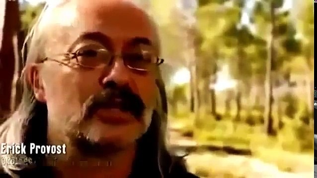 Documentary Ant National Geographic | War of the Ants | Full Documentary | National Geogra