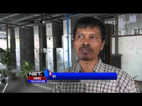 Antisipasi Kecurangan, KPUD Bantul Musnahkan Ribuan Surat Suara Rusak - NET16