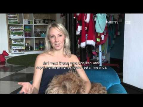 Hotel Untuk Anjing di Afrika Selatan - NET12