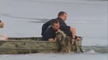 Dog rescued from icy pond