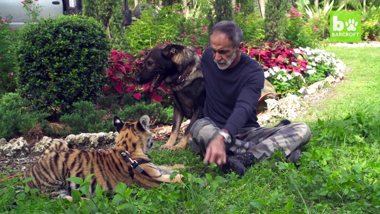 Doggy Day Care: Igor The Dog Adopts Baby Animals