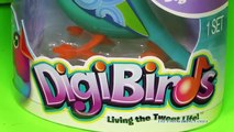 DIGIBIRDS Digital Singing Birds TheEngineeringFamily Digibird YouTube Video Toy Review