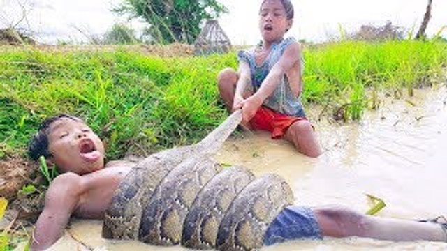 Terrifying!! Brave Little Kids Catch Big Snake in Water While Finding Snails in the fields