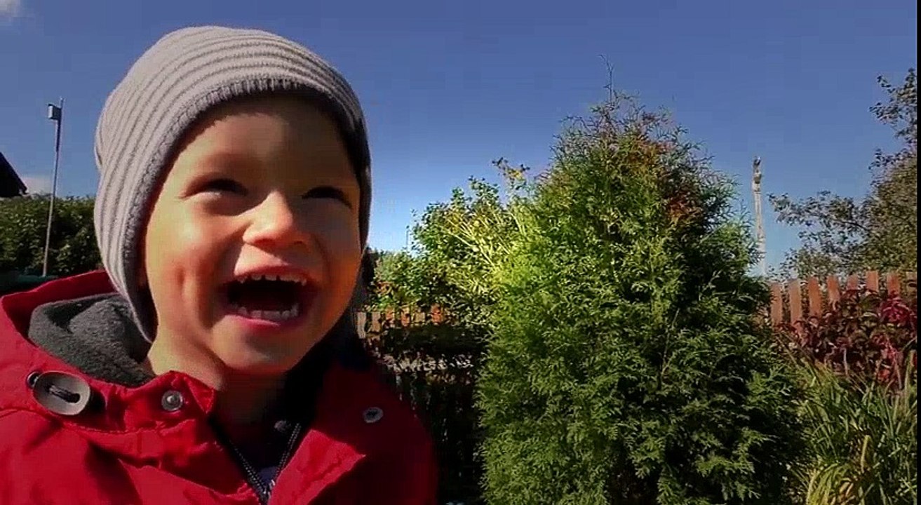 Сrying Babies! Accident! Bad baby Playing Colored Cars Johny Johny Yes Papa Songs Learn Colors kids
