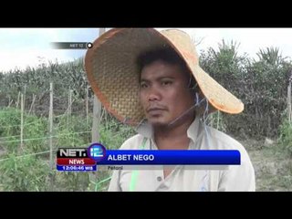 Télécharger la video: Dampak Aktivitas Vulkanik Gunung Sinabung yang Kembali Meningkat - NET12