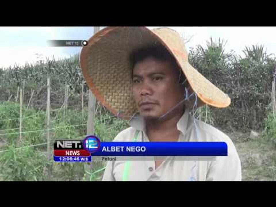 Dampak Aktivitas Vulkanik Gunung Sinabung yang Kembali Meningkat - NET12