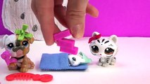 LPS Mommies Mystery Surprise Handmade Blind Bags Toys Cookieswirlc Cookie Fan Mail Littlest Pet Shop