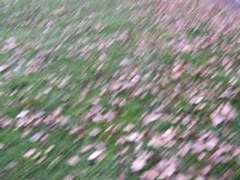 saut de 7 metres avec une kyosho inferno st us sport