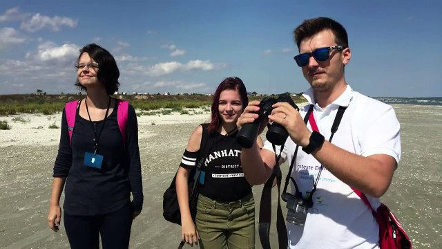 La saison meurtrière des dauphins de la mer Noire