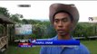 Jelang Imlek, Petani Buah Naga di Yogyakarta Kebanjiran Pesanan - NET12