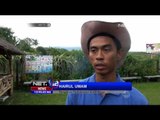 Jelang Imlek, Petani Buah Naga di Yogyakarta Kebanjiran Pesanan - NET12
