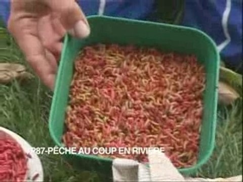 Pêche au coup en rivière