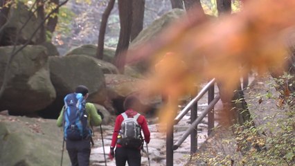 등산 사고 '단풍철' 최다...오후 1시~3시 '집중' / YTN