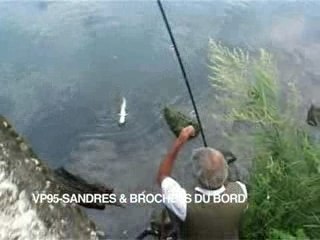 SANDRES & BROCHETS DU BORD